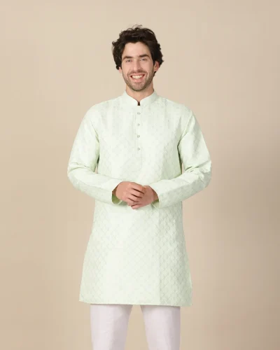 Maurya Vastra Mint Green Textured Festive Kurta