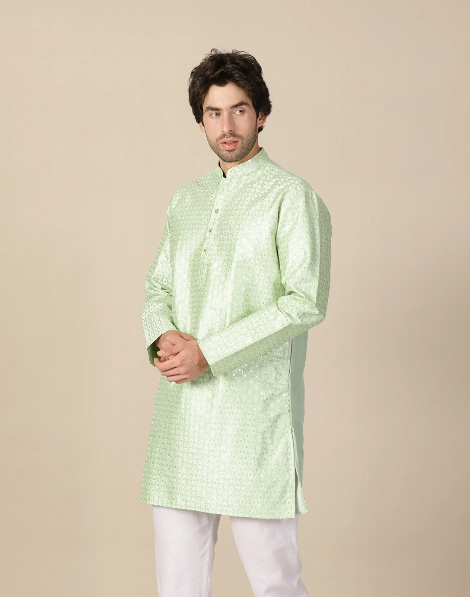 Maurya Vastra Pastel Green Embroidered Festive Kurta (4)
