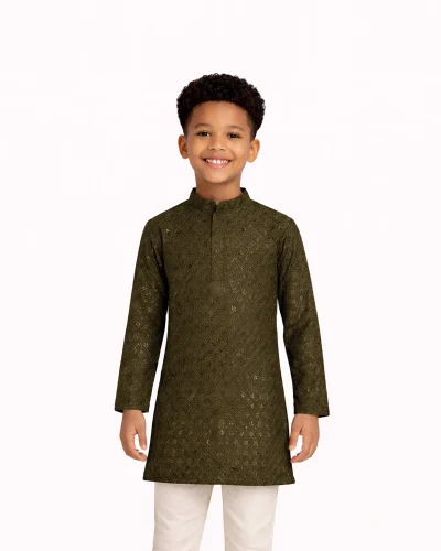 Maurya Vastra Boys Olive Green Chikankari Kurta